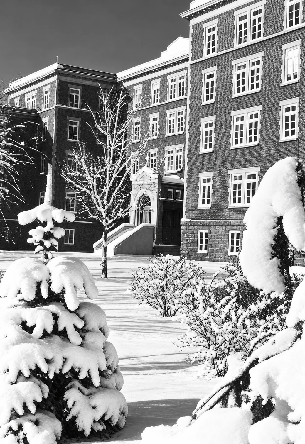 Exterior sur en invierno